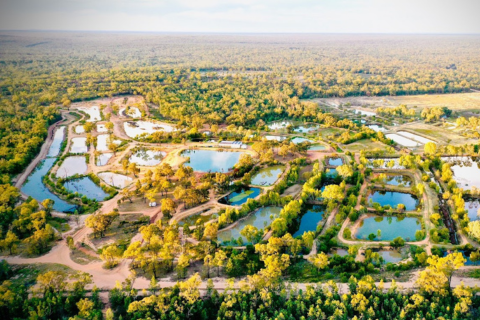 Family Fun Bowls Day