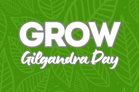 Inflatable World @ Dubbo