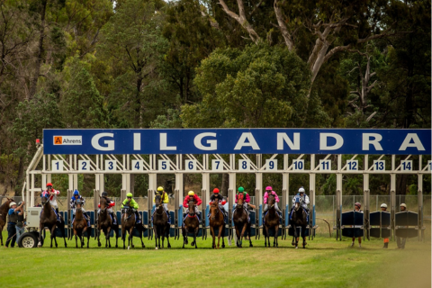 Collie Cup @ Gilgandra Jockey Club